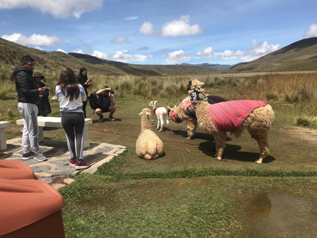 Amazing Huaraz Bed & Breakfast Ngoại thất bức ảnh