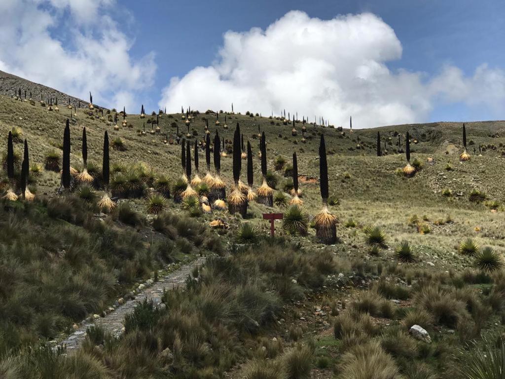 Amazing Huaraz Bed & Breakfast Ngoại thất bức ảnh