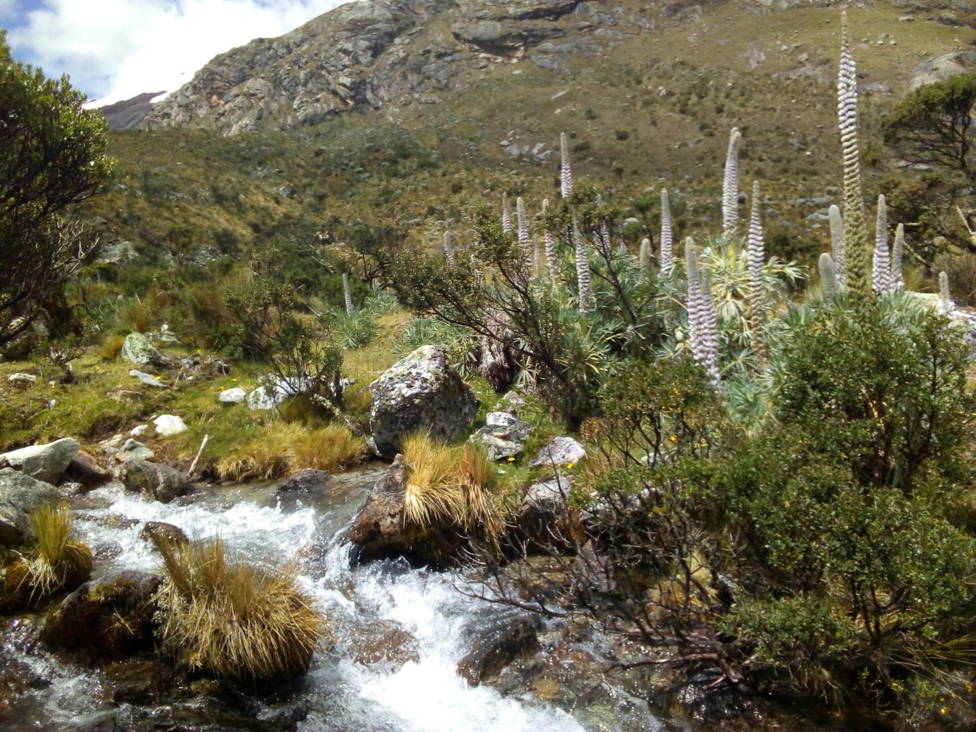 Amazing Huaraz Bed & Breakfast Ngoại thất bức ảnh