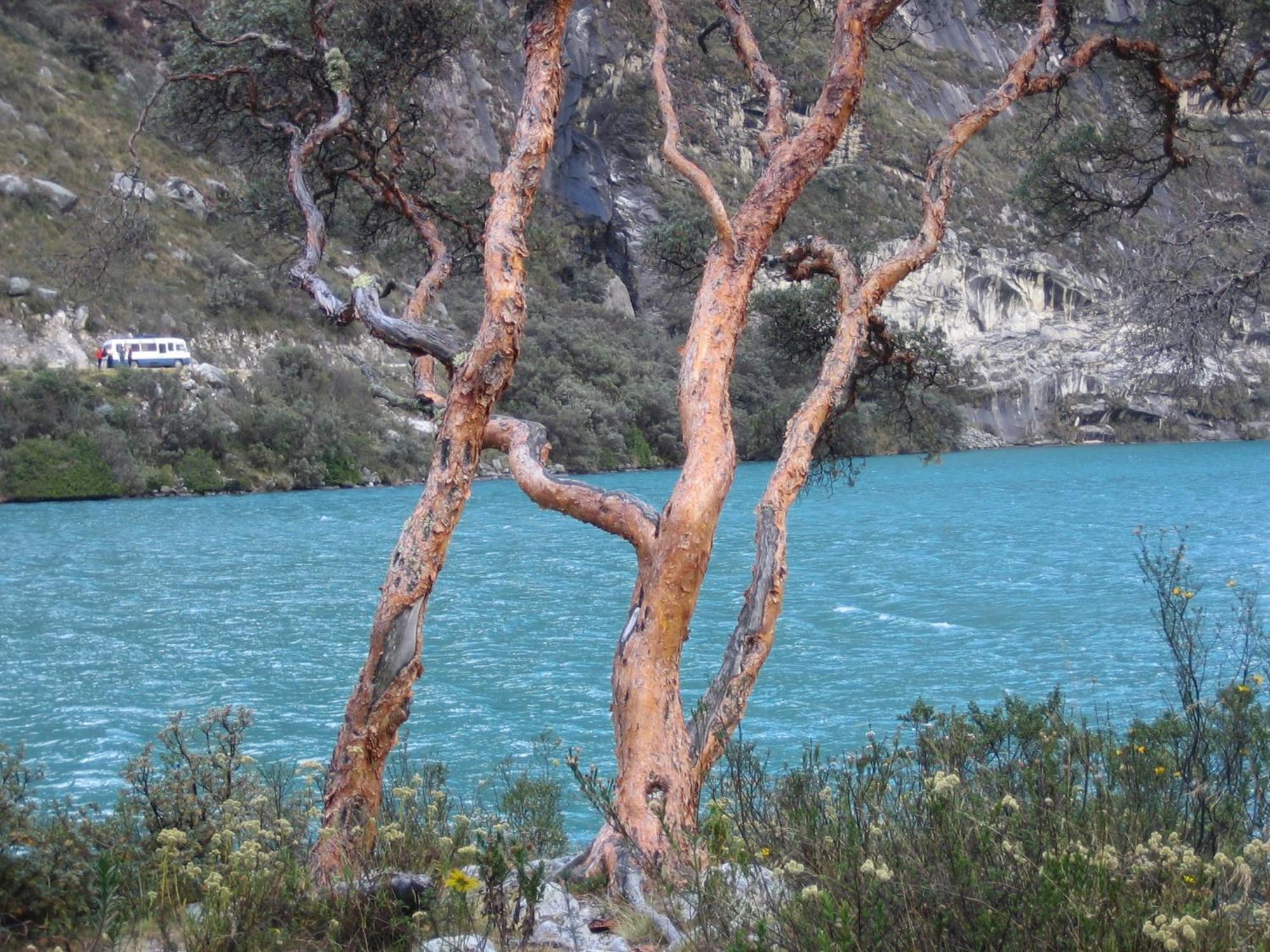 Amazing Huaraz Bed & Breakfast Ngoại thất bức ảnh